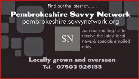 Pembrokeshire Savvy Network photo